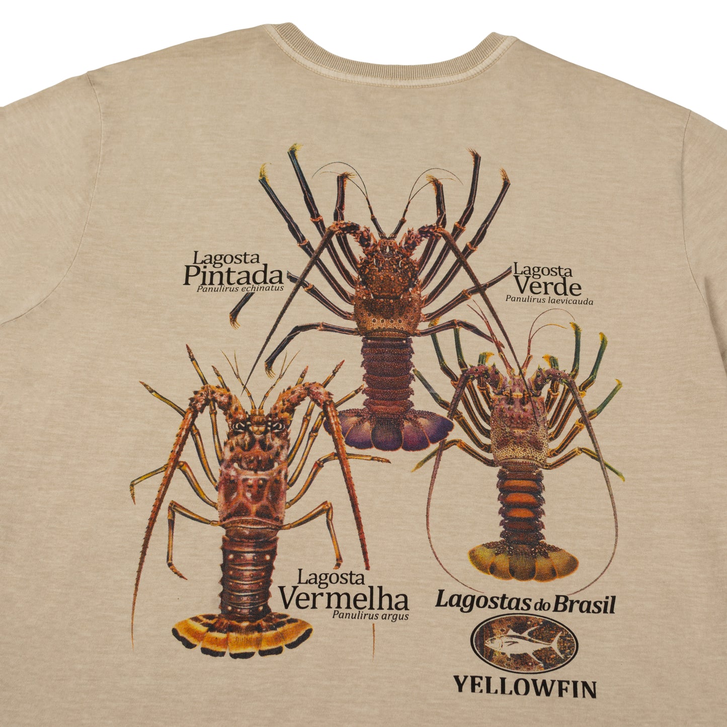 Camisa Yellowfin Lobster Areia