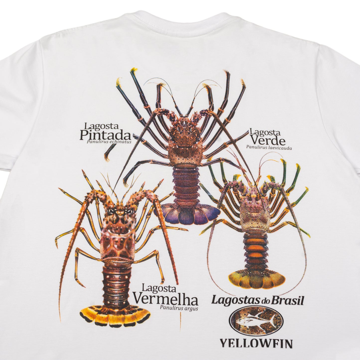 Camisa Yellowfin Lobster